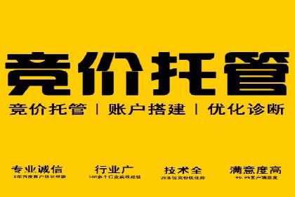 百度竞价代运营公司成功案例解析